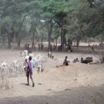 Climate change and Pastoralism 2016