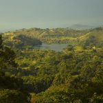 Kibale-National-Park-