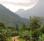 rwenzori national park
