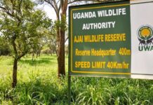 AJAI GAME RESERVES/ Ajai Wildlife Reserve