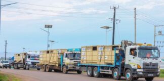 8 Rhinos Donated to Uganda from South Africa