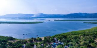 Cabinet Approves Elevation of Wildlife Reserves to National Parks