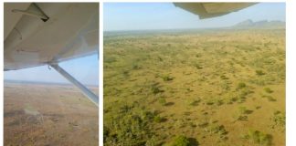 UWA Conducts Aerial Wildlife Survey in Bokora–Matheniko Wildlife Reserve